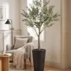 Olive Tree Fiber 150 cm styled in an interior — Neon Jungle Studios