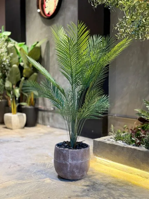 Plante Areca 110 cm