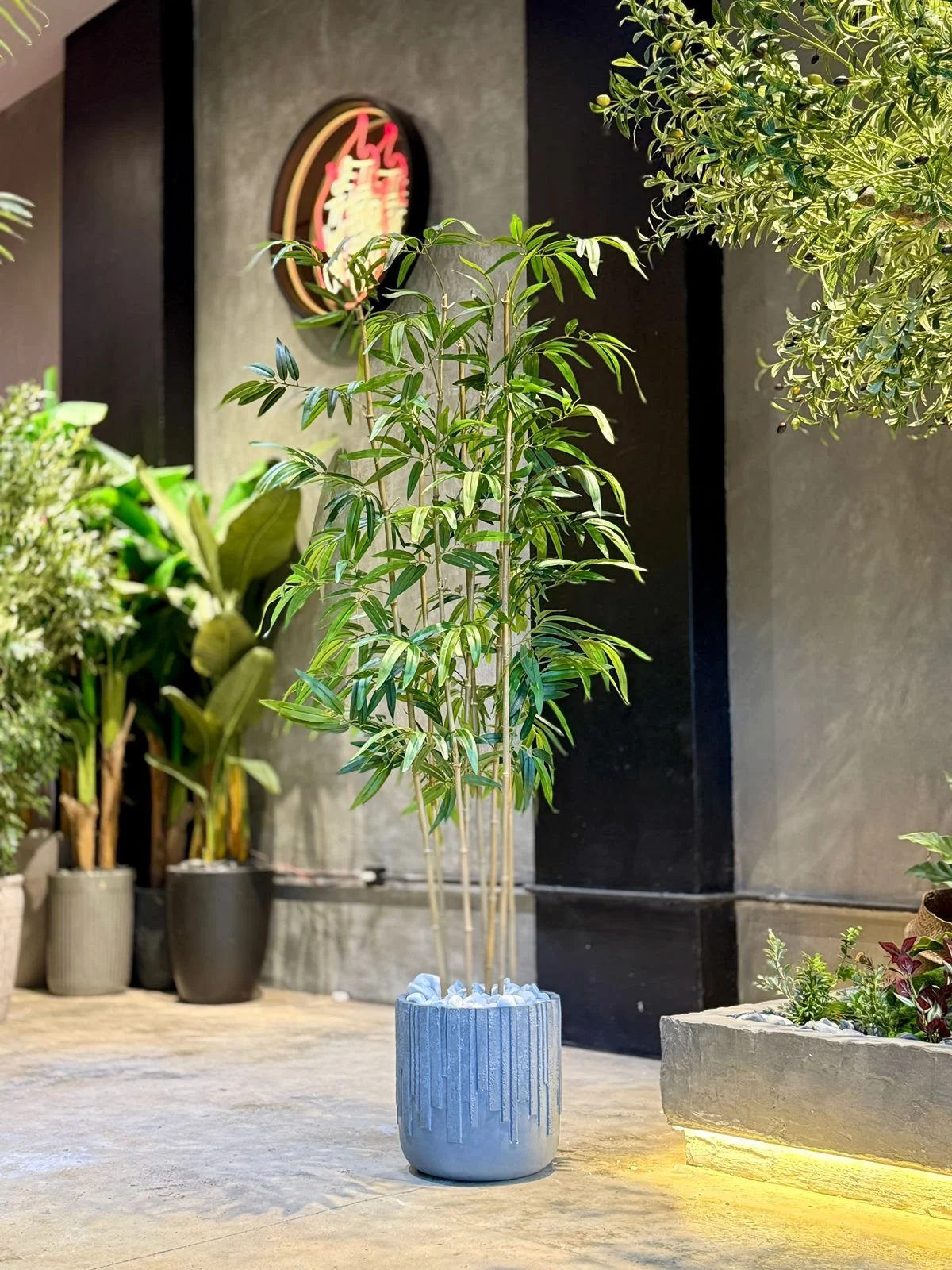 Plante de Bambou 190 cm