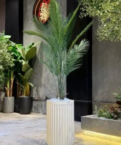 Plante Areca 140 cm