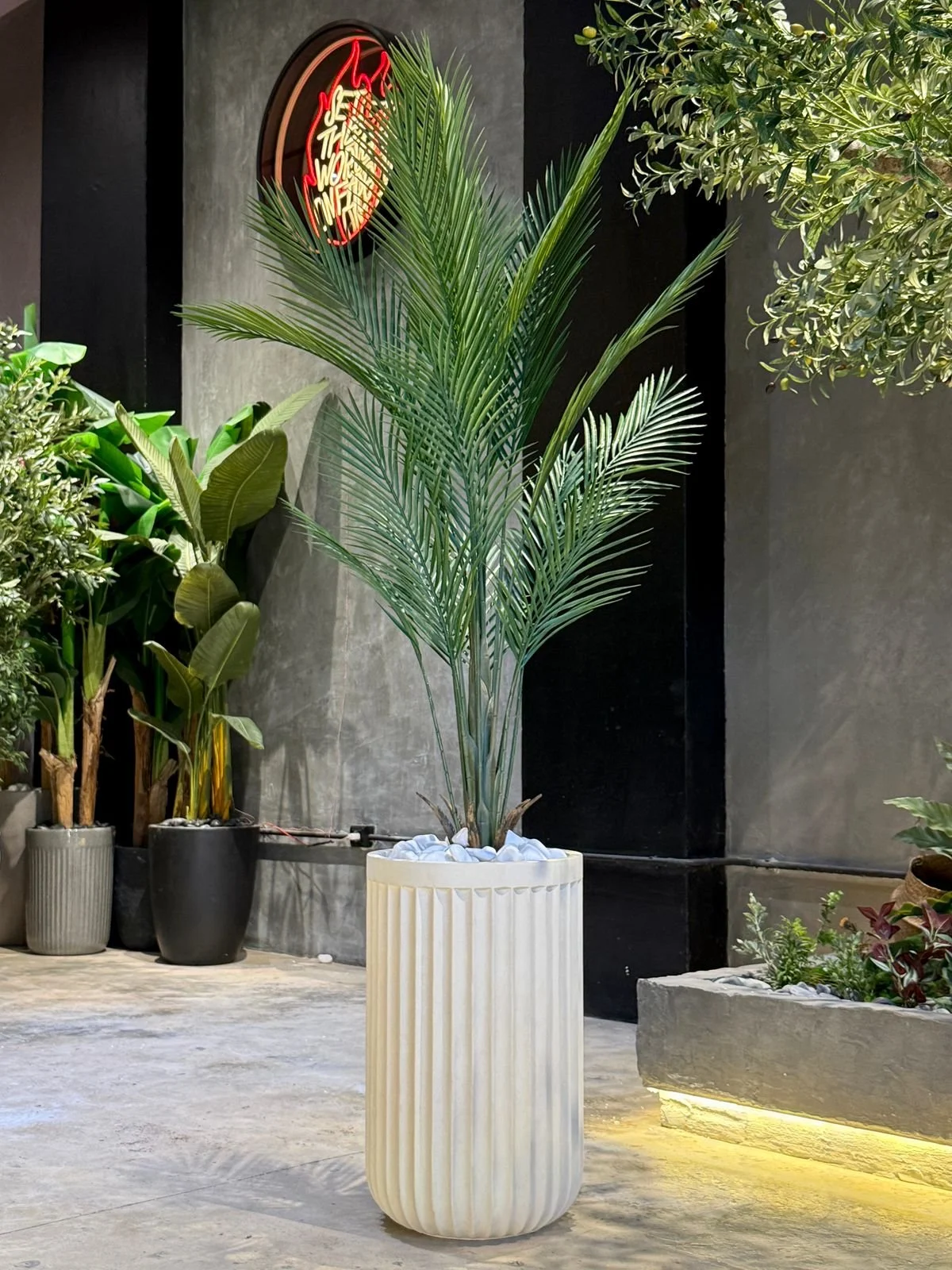 Plante Areca 140 cm