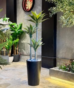 Agave Tree 125 cm 3 trunks