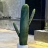 Cactus 80 cm with 2 hands
