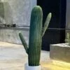 Cactus à 2 bras 80 cm