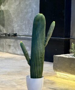 Cactus 80 cm with 2 hands