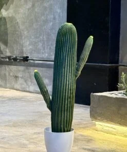 Cactus à 2 bras 80 cm