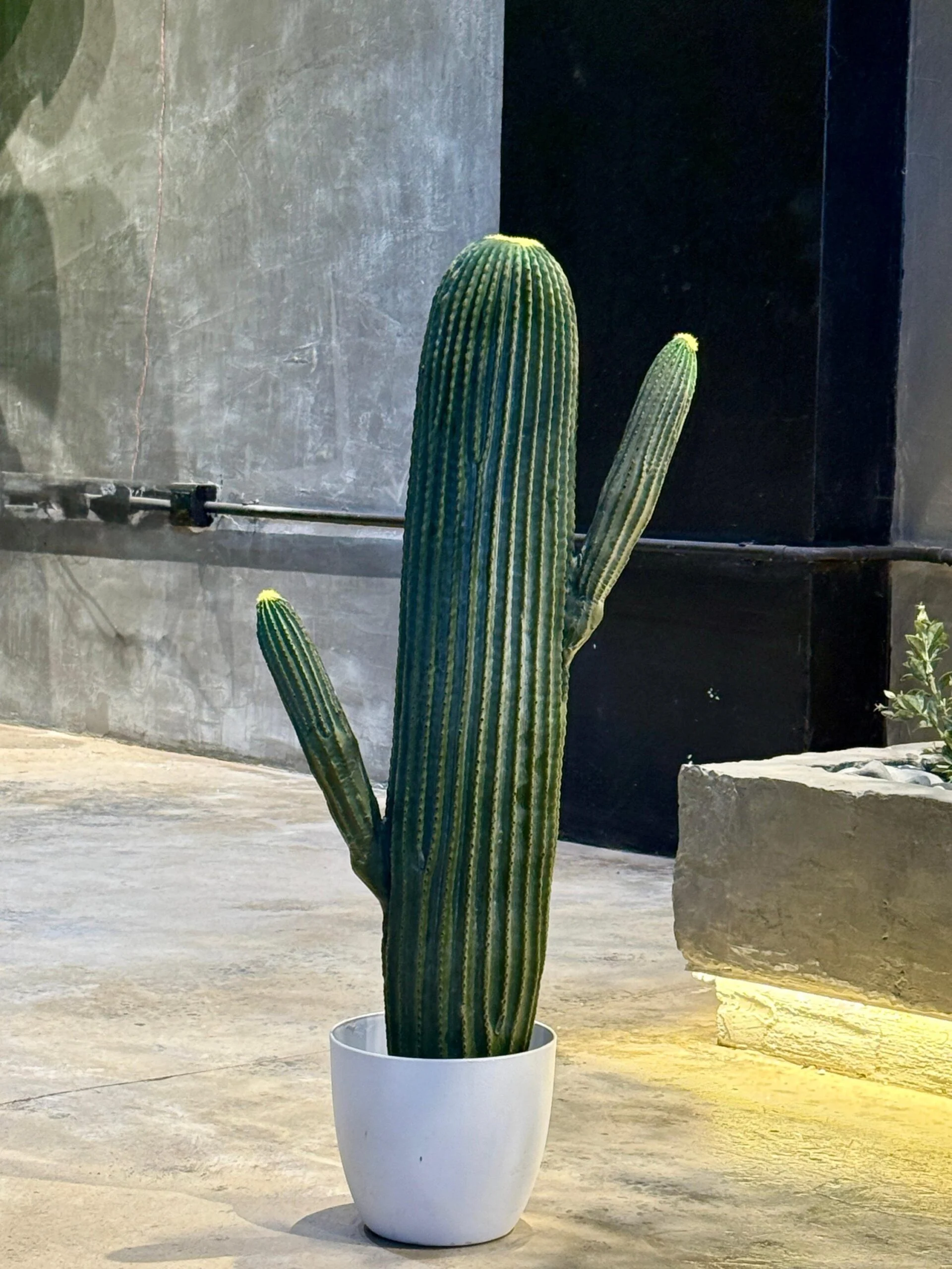 Cactus à 2 bras 80 cm