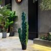 Cactus set of three 125 cm