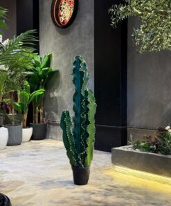 Cactus set of three 125 cm