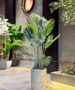 Areca 140 cm (🚫without pot)