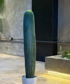Cactus 90 cm