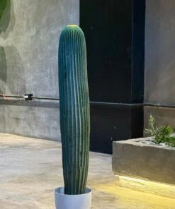 Cactus 90 cm