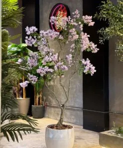 Jacaranda lilac 200 cm