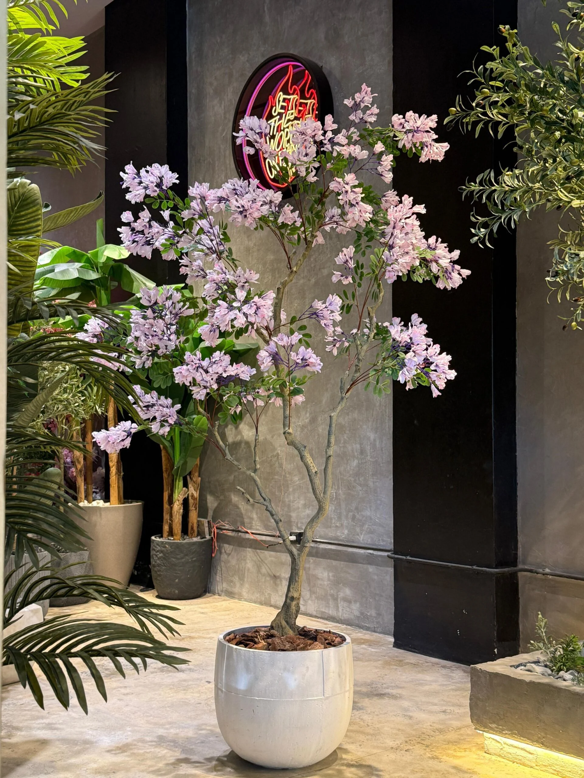 Jacaranda lilac 200 cm