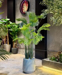 Areca 180 cm (🚫 without pot)