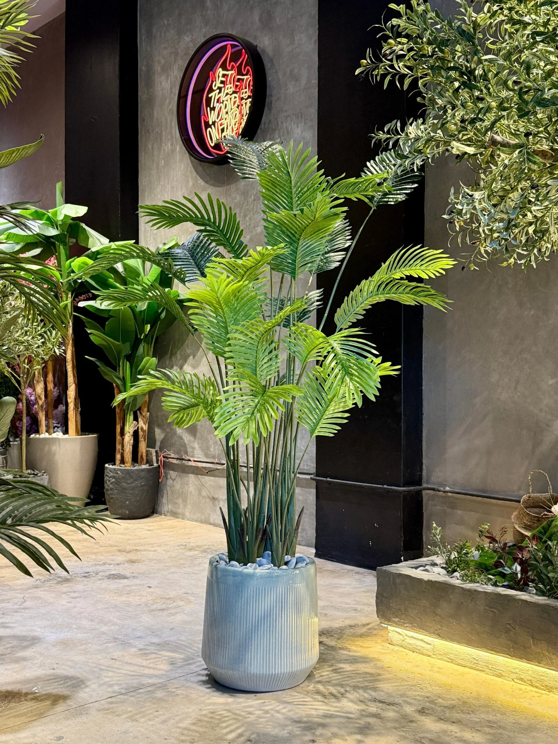 Areca 180 cm