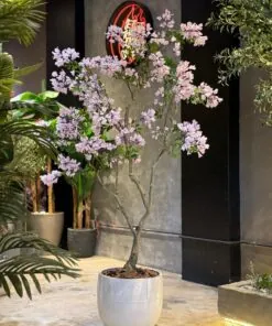 Jacaranda lilac 200 cm