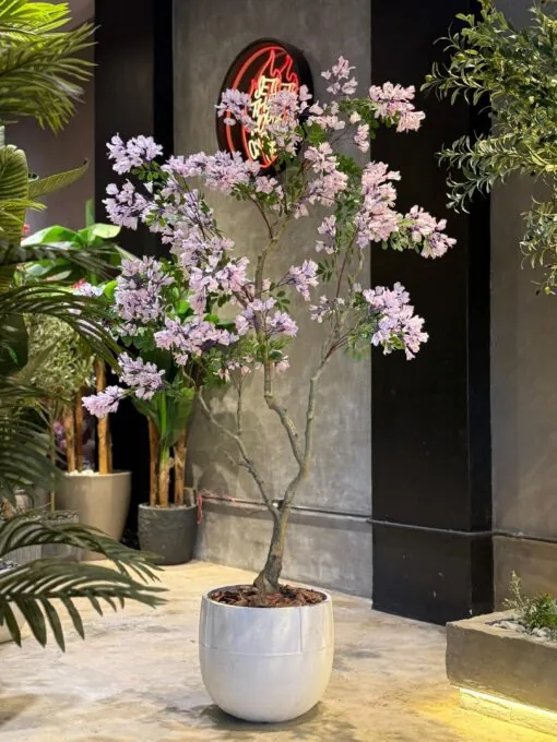 Jacaranda lilac 200 cm