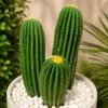 Ensemble de 3 Cactus 30 cm