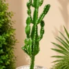 Cactus 95 cm