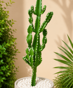 Cactus 95 cm (🚫without pot)