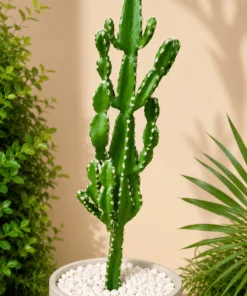 Cactus 95 cm