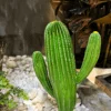 Cactus 35 cm