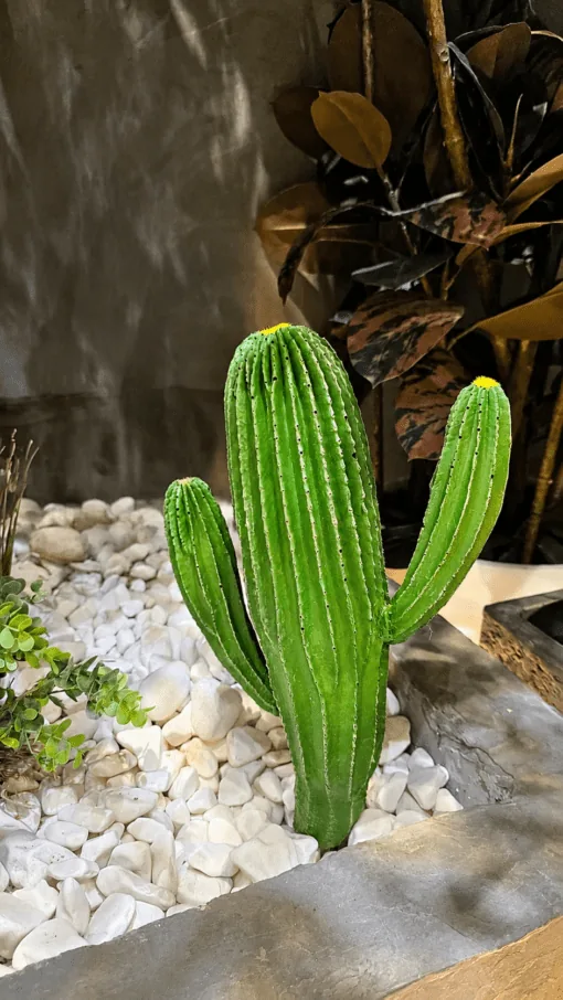 Cactus 35 cm