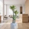 Agave Tree 125 cm 3 trunks styled in an interior — Neon Jungle Studios
