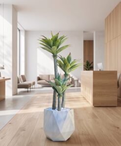 Agave Tree 125 cm 3 trunks styled in an interior — Neon Jungle Studios
