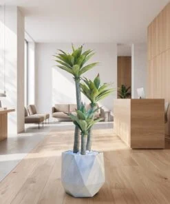 Agave Tree 125 cm 3 trunks styled in an interior — Neon Jungle Studios