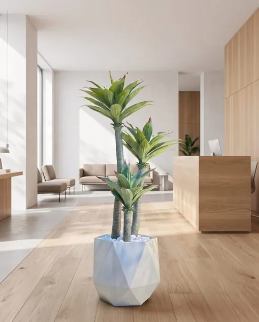 Agave Tree 125 cm 3 trunks styled in an interior — Neon Jungle Studios