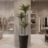 Agave Tree 125 cm 3 trunks styled in an interior — Neon Jungle Studios