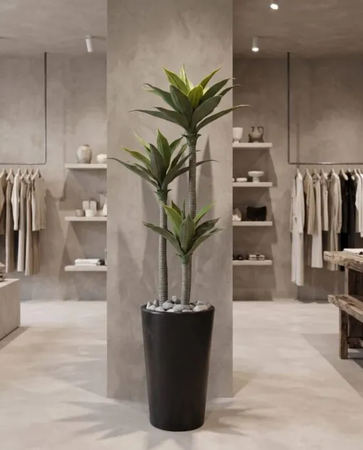 Agave Tree 125 cm 3 trunks styled in an interior — Neon Jungle Studios
