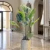 Areca 140 cm styled in an interior — Neon Jungle Studios