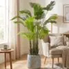 Areca 180 cm styled in an interior — Neon Jungle Studios