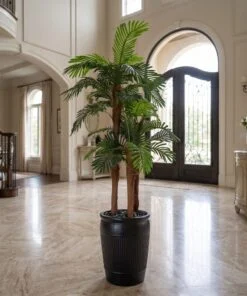 Areca Palm 180 cm 3 trunks styled in an interior — Neon Jungle Studios