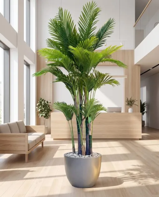 Areca Palm 250 cm 8 trunks styled in an interior — Neon Jungle Studios