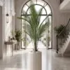 Areca Plant 140 cm styled in an interior — Neon Jungle Studios