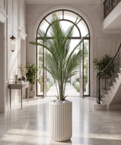Areca Plant 140 cm styled in an interior — Neon Jungle Studios