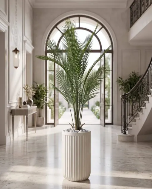 Areca Plant 140 cm styled in an interior — Neon Jungle Studios