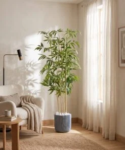 Bamboo Plant 190 cm styled in an interior — Neon Jungle Studios