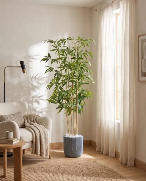 Bamboo Plant 190 cm styled in an interior — Neon Jungle Studios