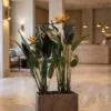 Birds of Paradise with birds styled in an interior — Neon Jungle Studios