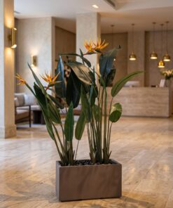 Birds of Paradise with birds styled in an interior — Neon Jungle Studios