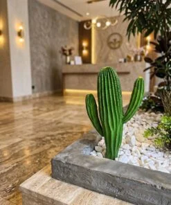 Cactus 35 cm styled in an interior — Neon Jungle Studios