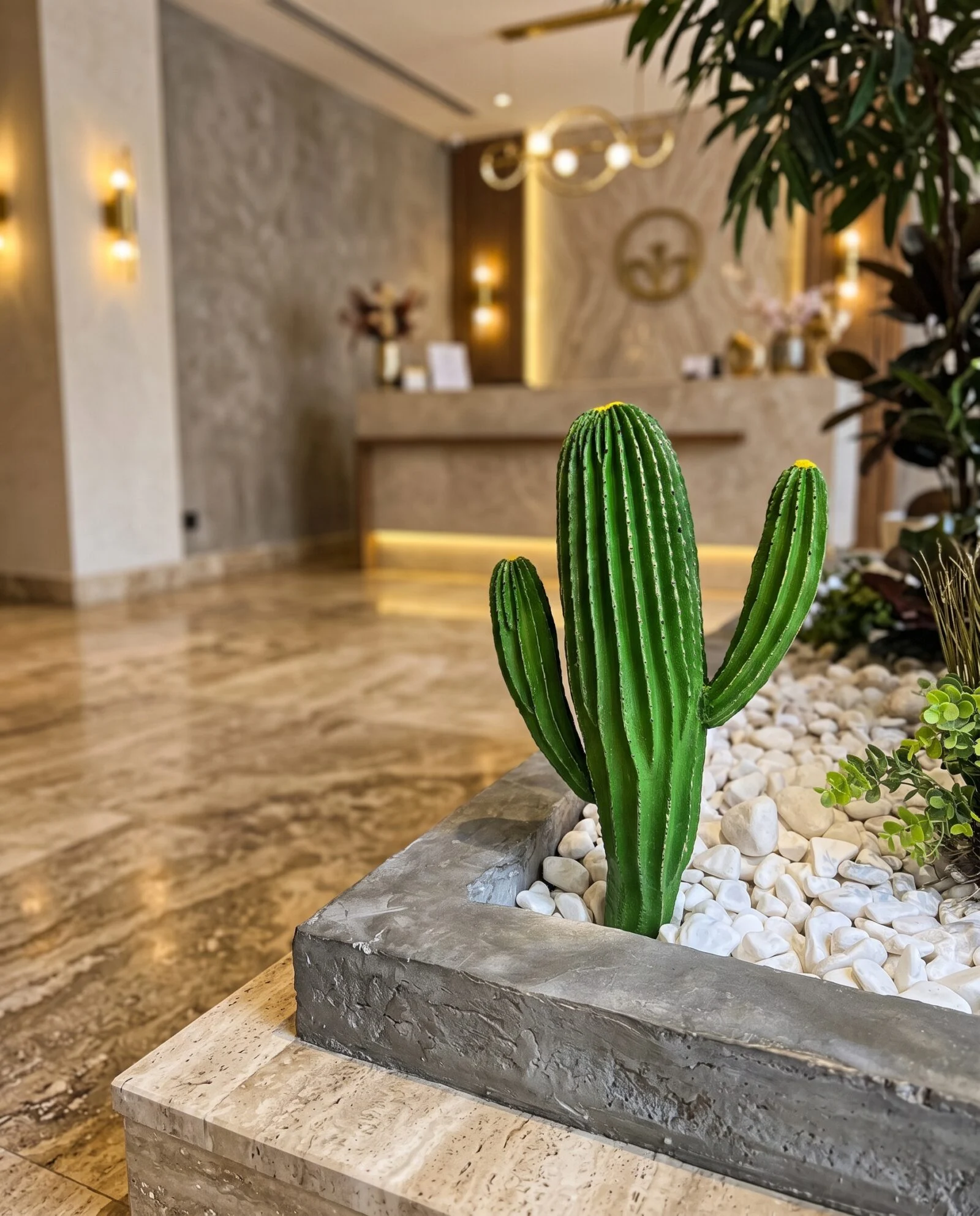 Cactus 35 cm styled in an interior — Neon Jungle Studios