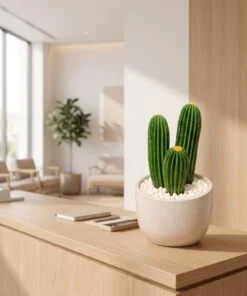 Cactus set of three 30 cm styled in an interior — Neon Jungle Studios