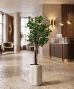 Ficus Danielle 120 cm styled in an interior — Neon Jungle Studios