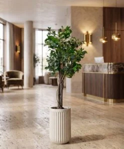 Ficus Danielle 120 cm styled in an interior — Neon Jungle Studios
